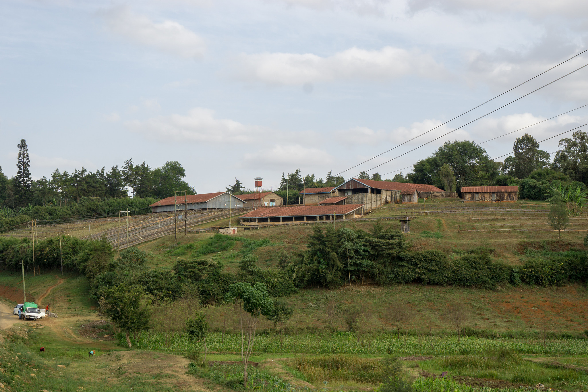 Tegu Factory, Tekangu Society