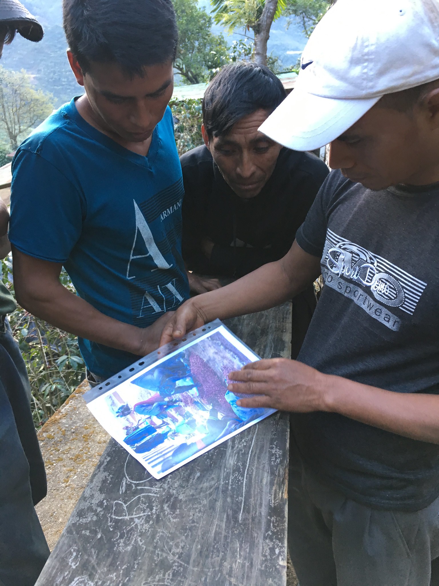 Pickers at FVH looking at pictures of ripe cherries