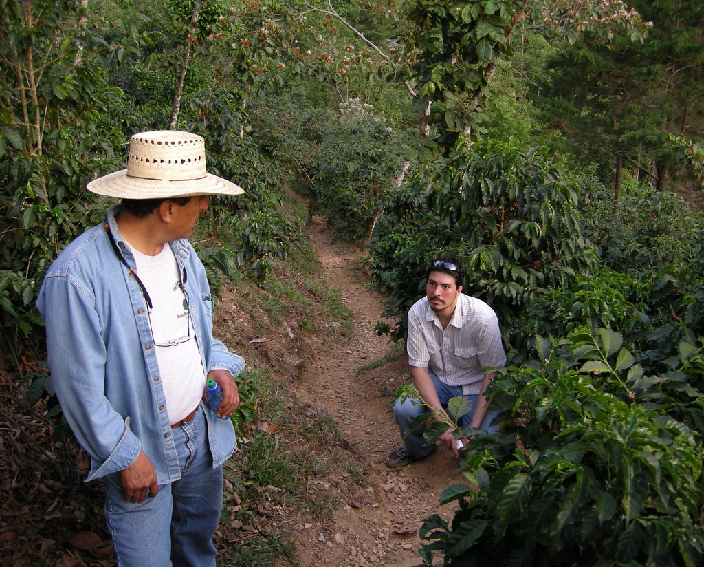 Guatemala and Finca Vista Hermosa Trip 2008 pt 1