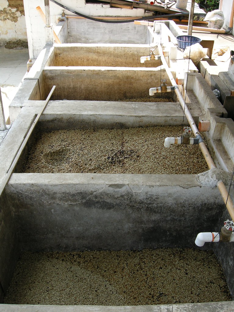 The fermentation tanks at Finca Vista Hermosa