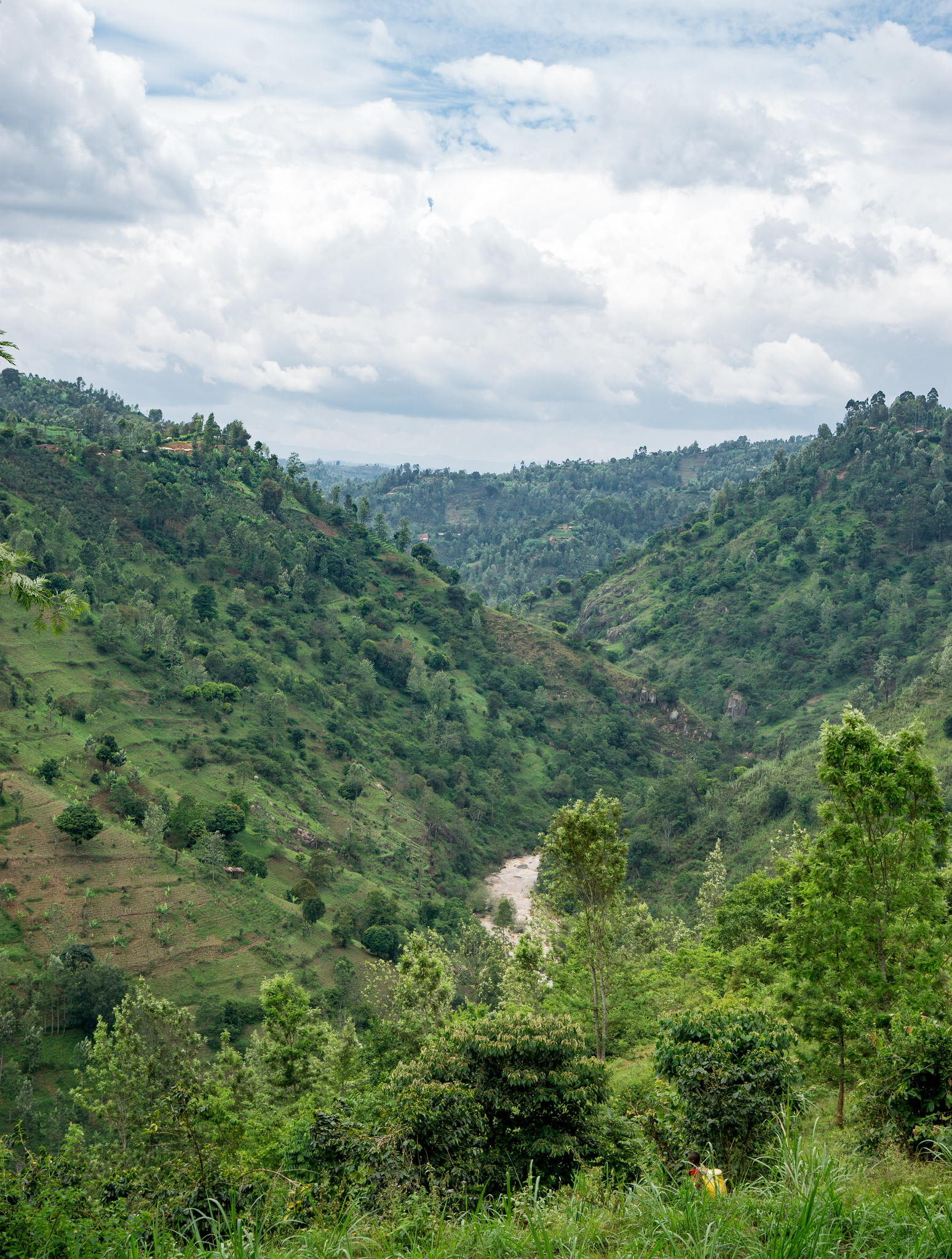 Stunning views all around the hilly Nyeri region