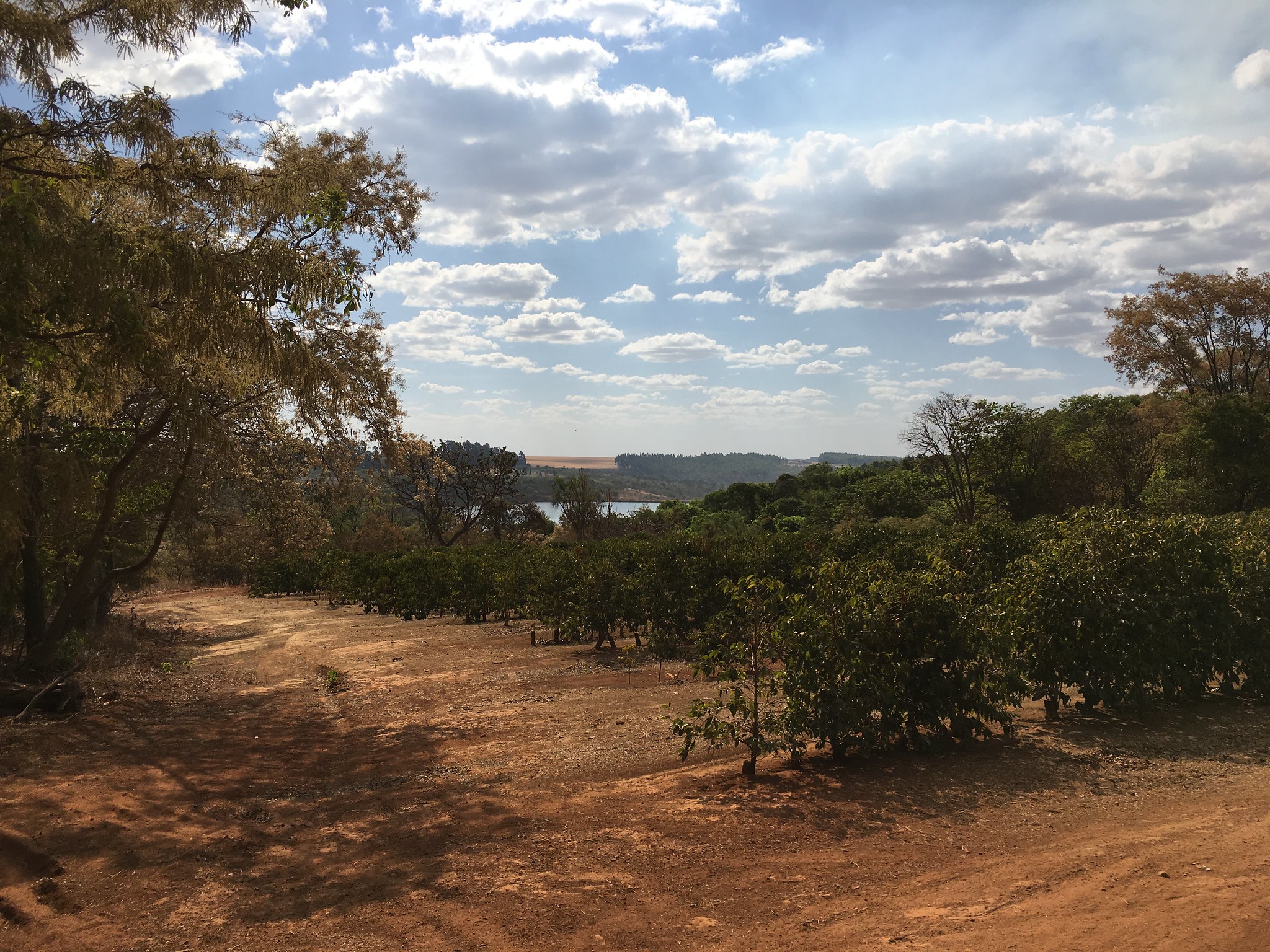 Overlooking the lake,  Essential for irrigation.