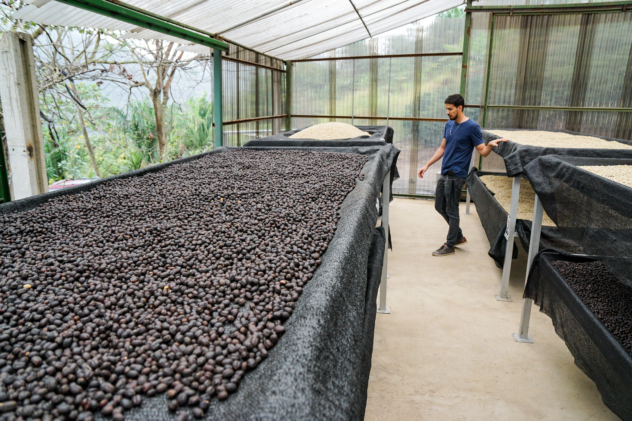 PedroPablo Rodriguez in the UV shaded drying facility with Coco Naturals