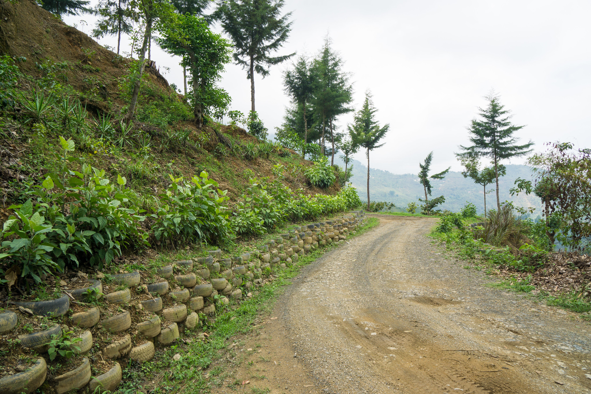 The Road to Finca Vista Hermosa.  Tires reused as road protection