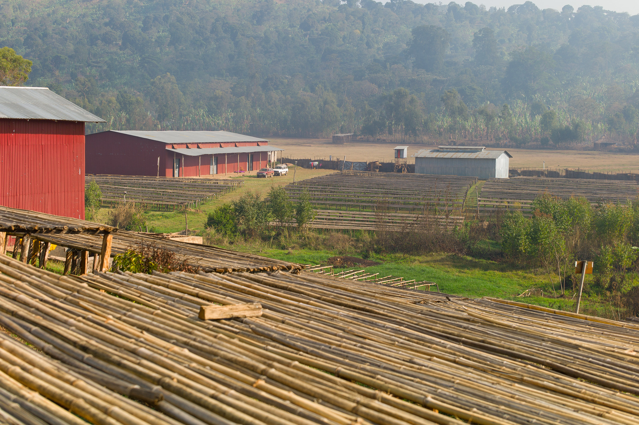 A lot of drying tables at the Halo washing station at the end season 2016/2017