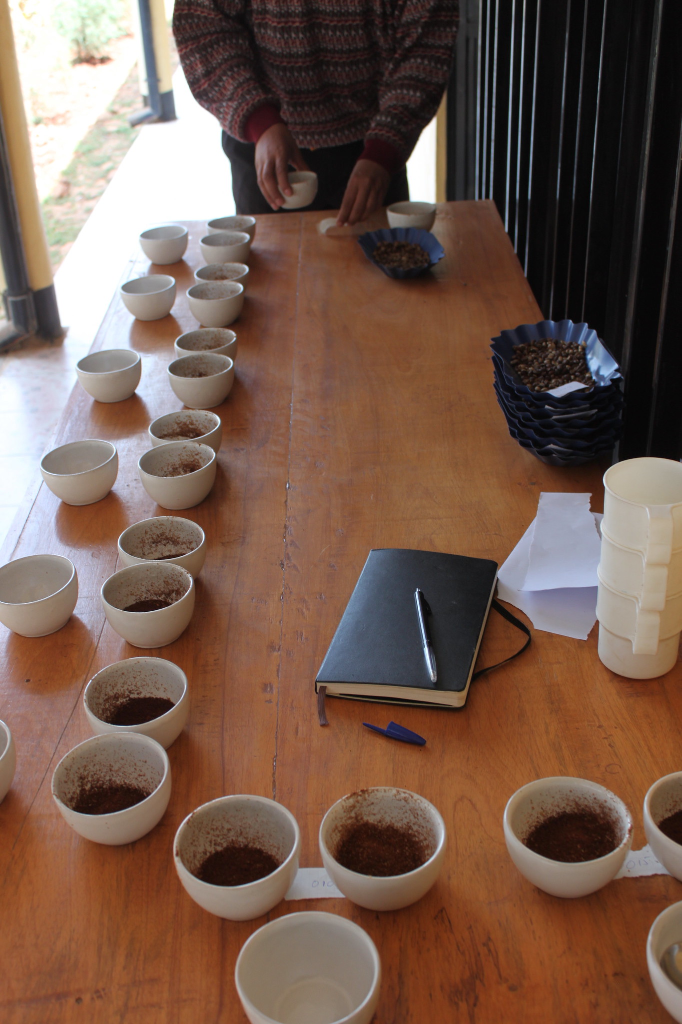 cupping samples