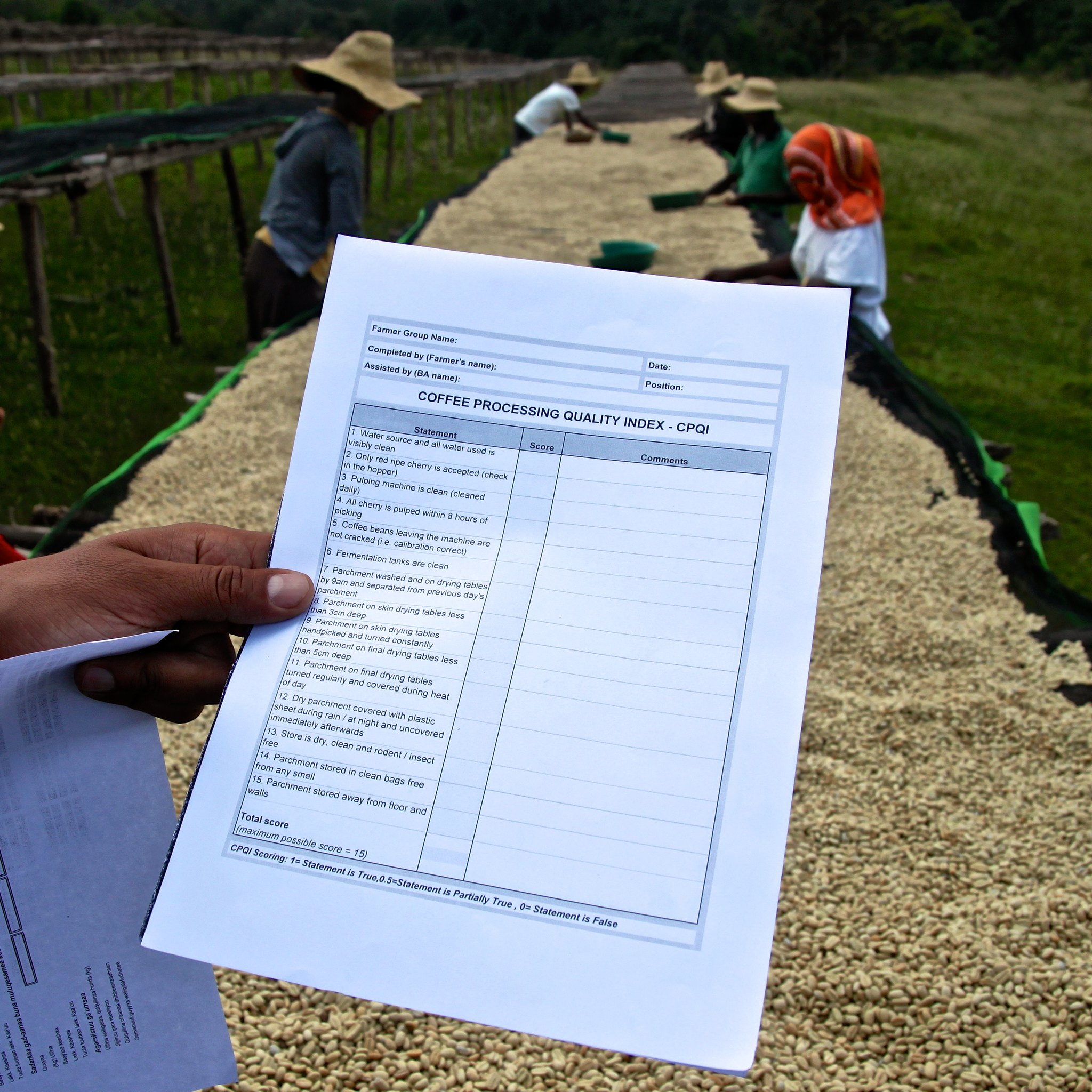 List of stuff the wet mills must check for each coffee (enlarge to read text)  This was at the Nano Chella wet mill.