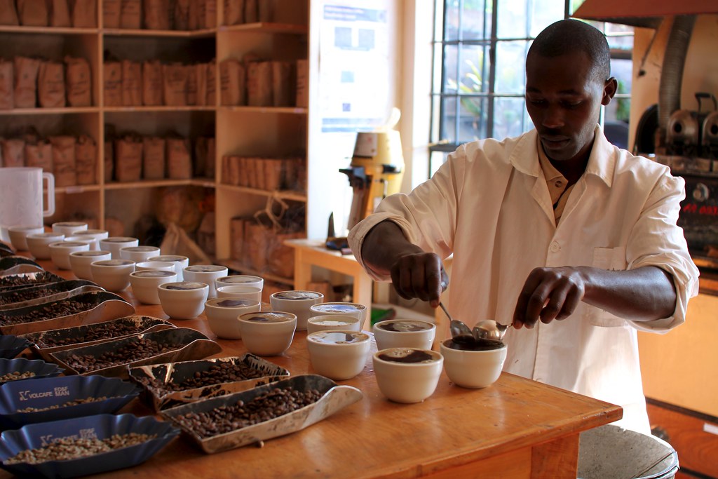 Cupping at Central Kenya Coffee Mill