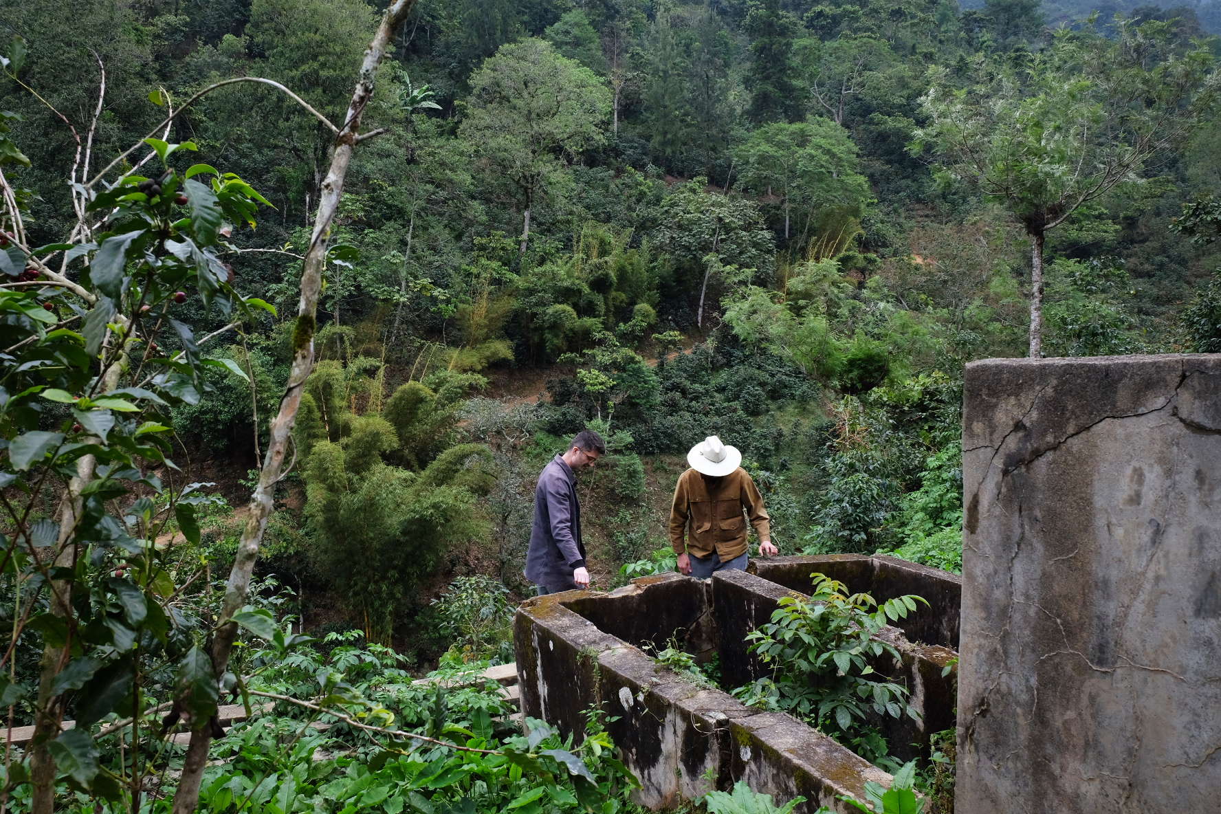 Peter and Edwin looking at the old fermentation tanks at Finca Vista Hermosa