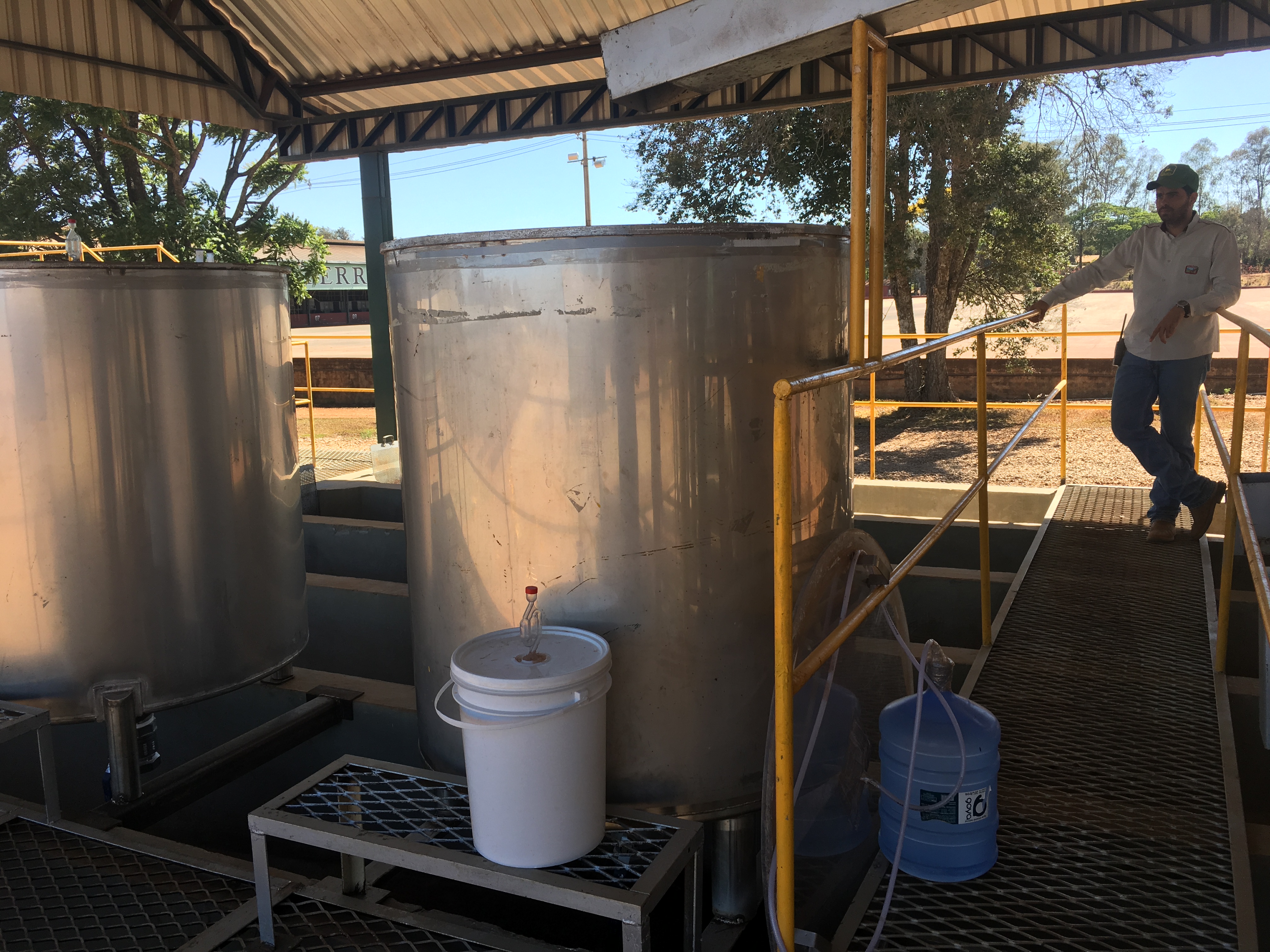 Fermentation tanks at Daterra