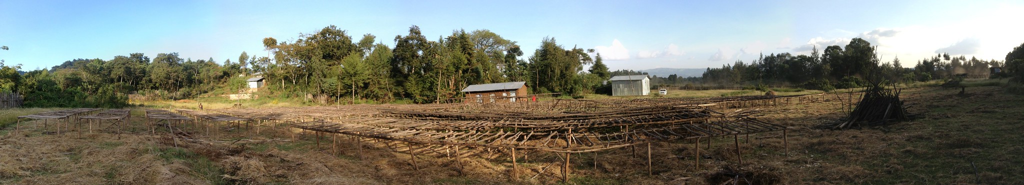 Panorama of Yukro wet mill, lots of drying tables - still waiting to put up the last ones.