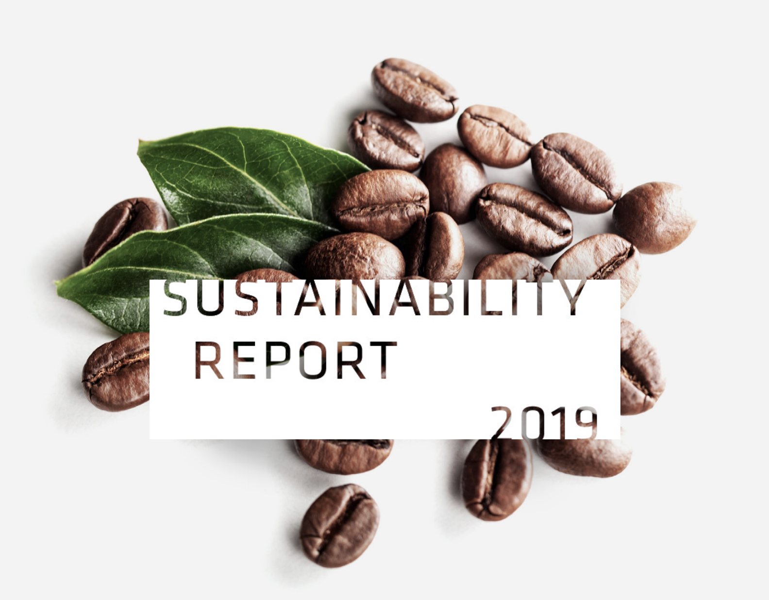 Sustainability Report 2019