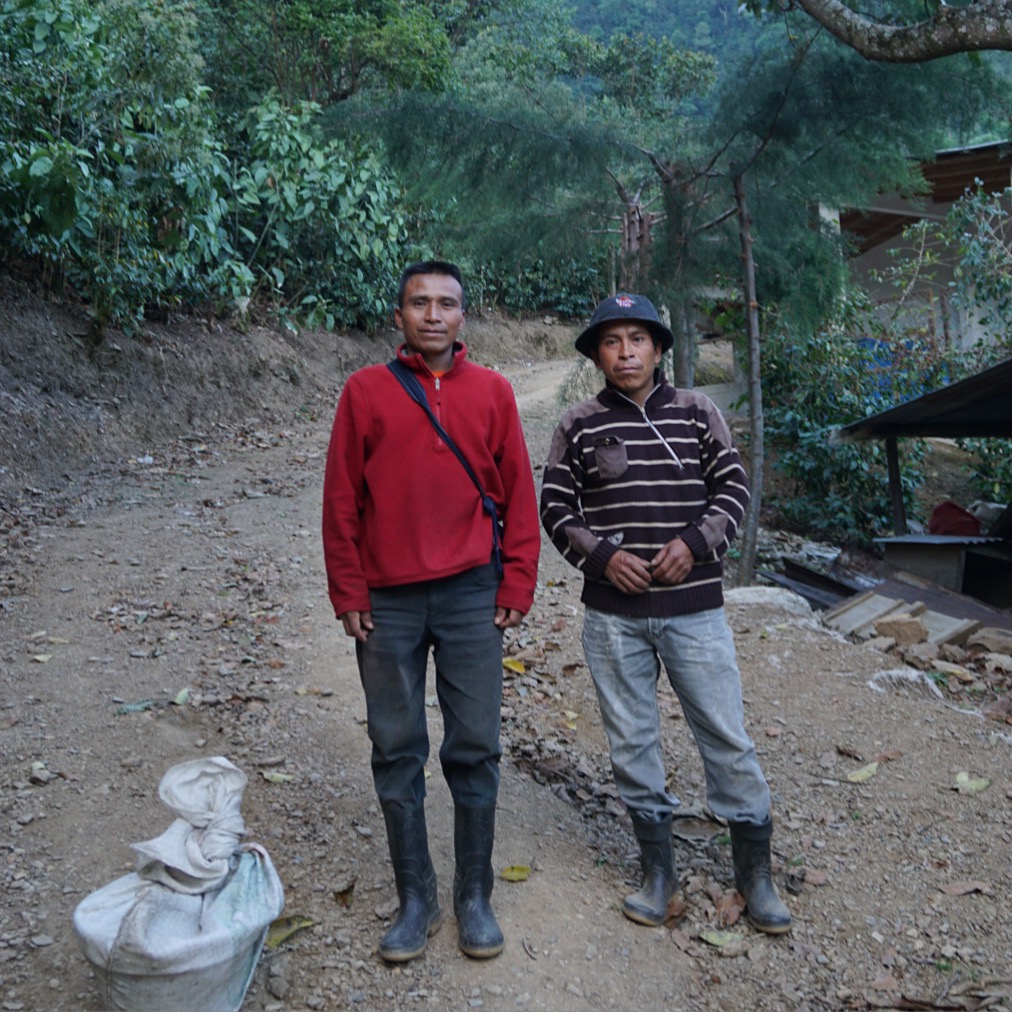 Pickers coming down from the mountain.