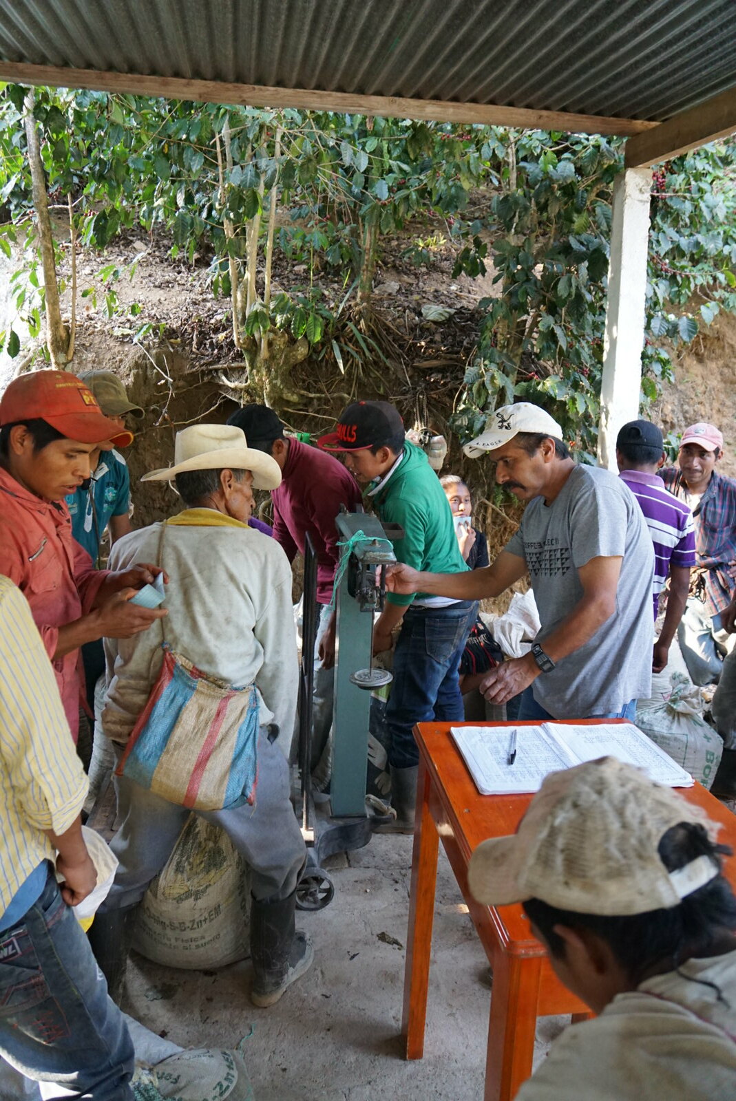 Eliseo receiving the last picking of the day.