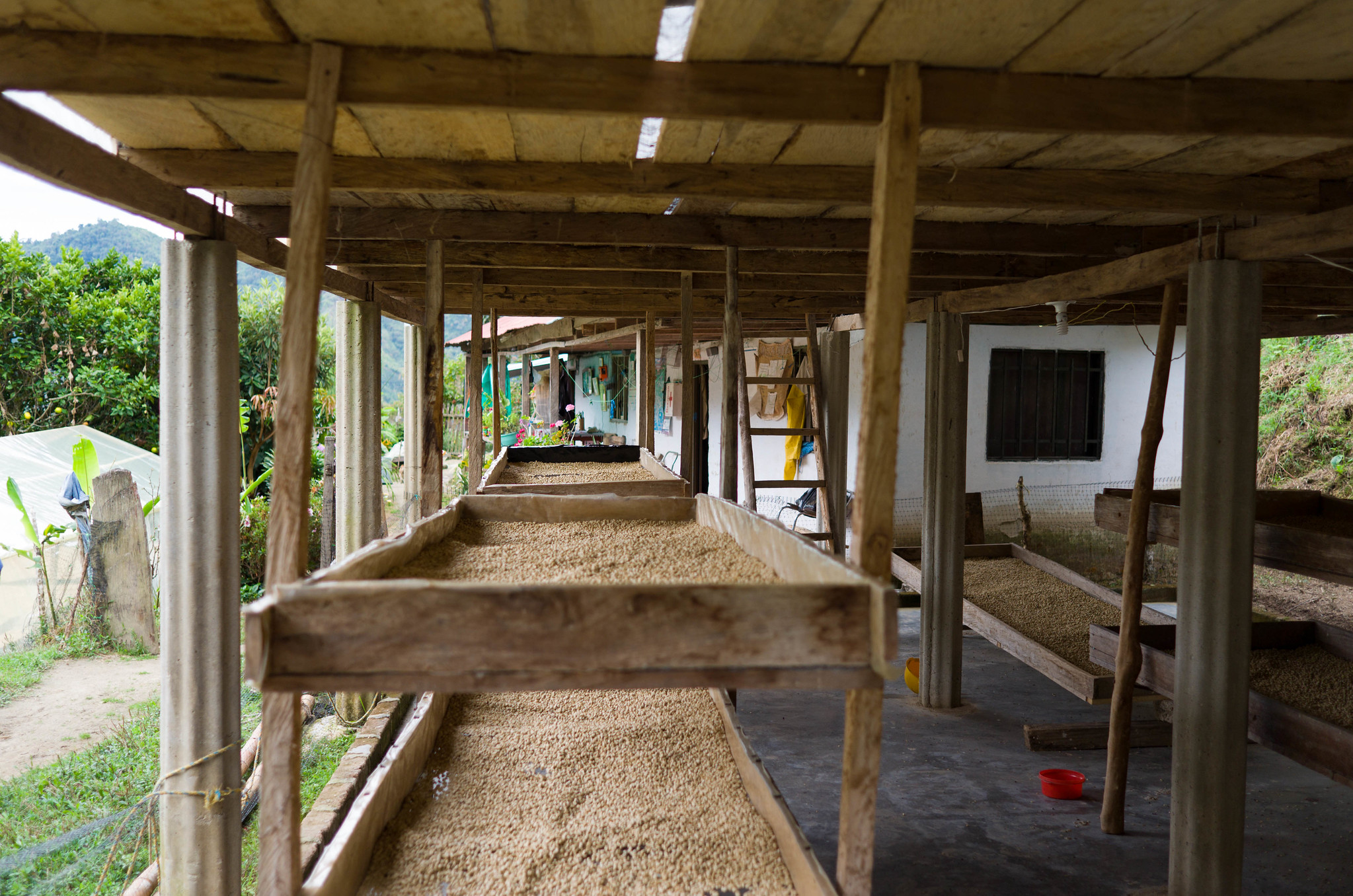 Raised drying beds in so many layers.