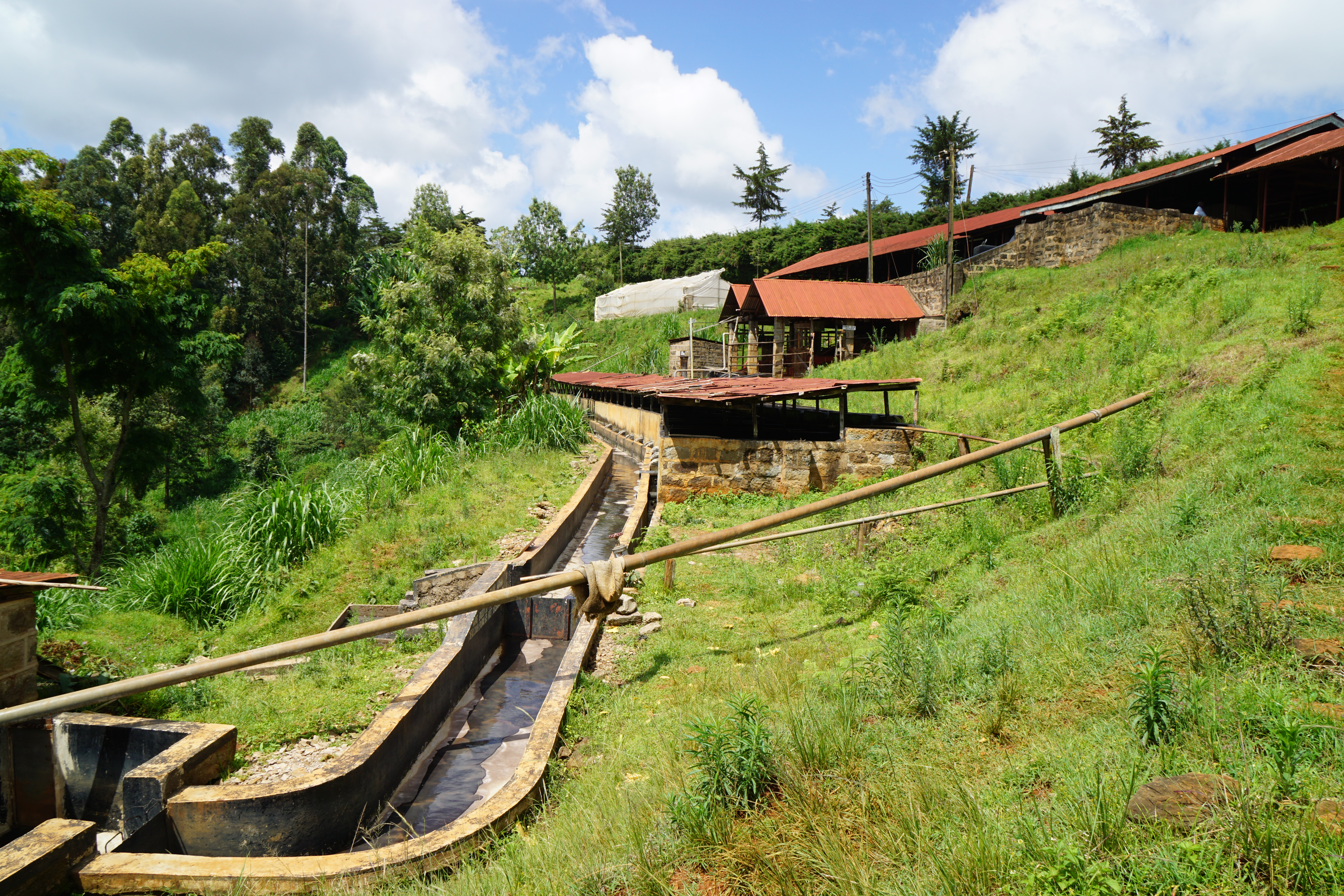 Karogoto coffee factory in the Tekangu society