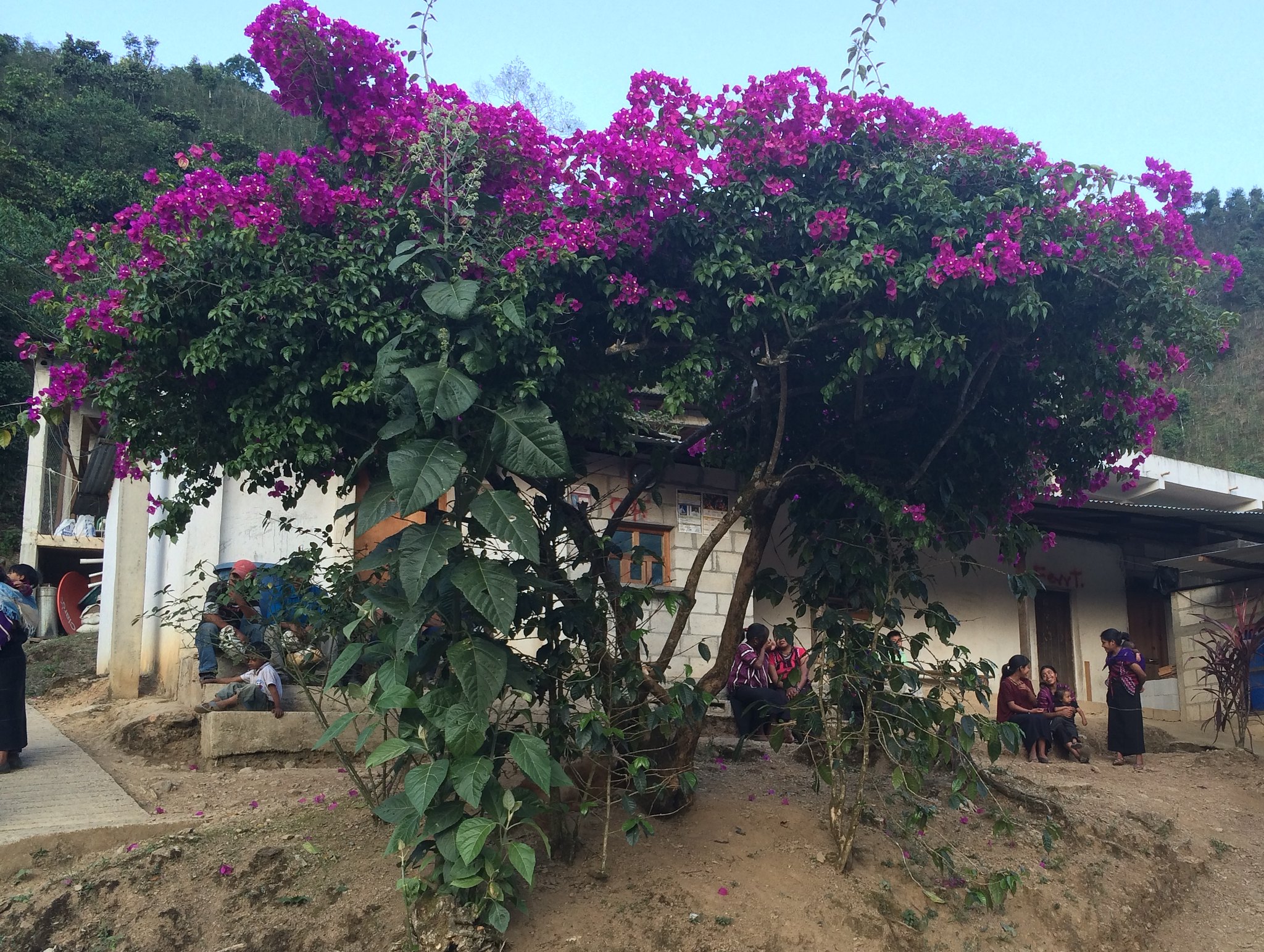 Arrival at Finca Vista Hermosa.