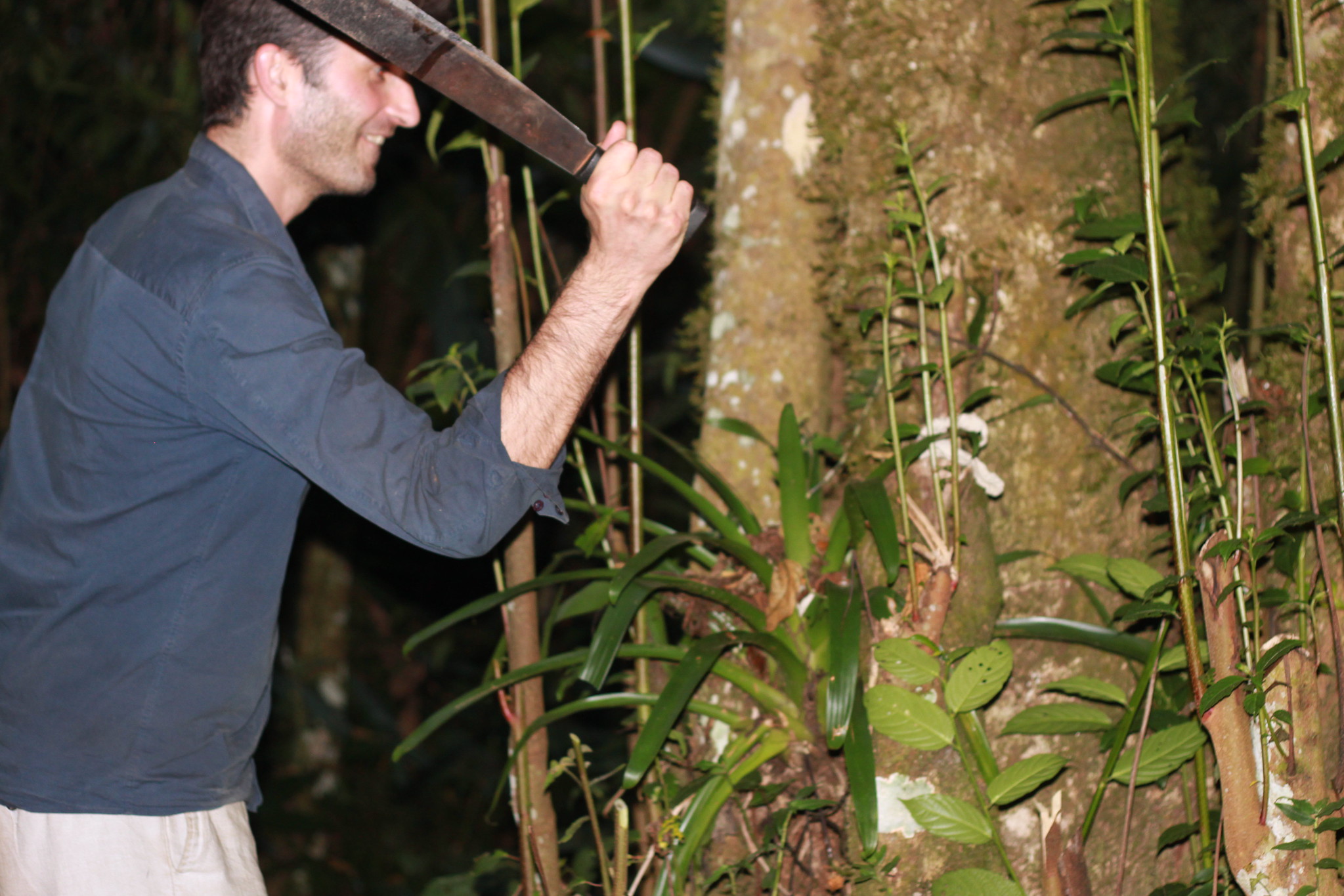 Machete practice.