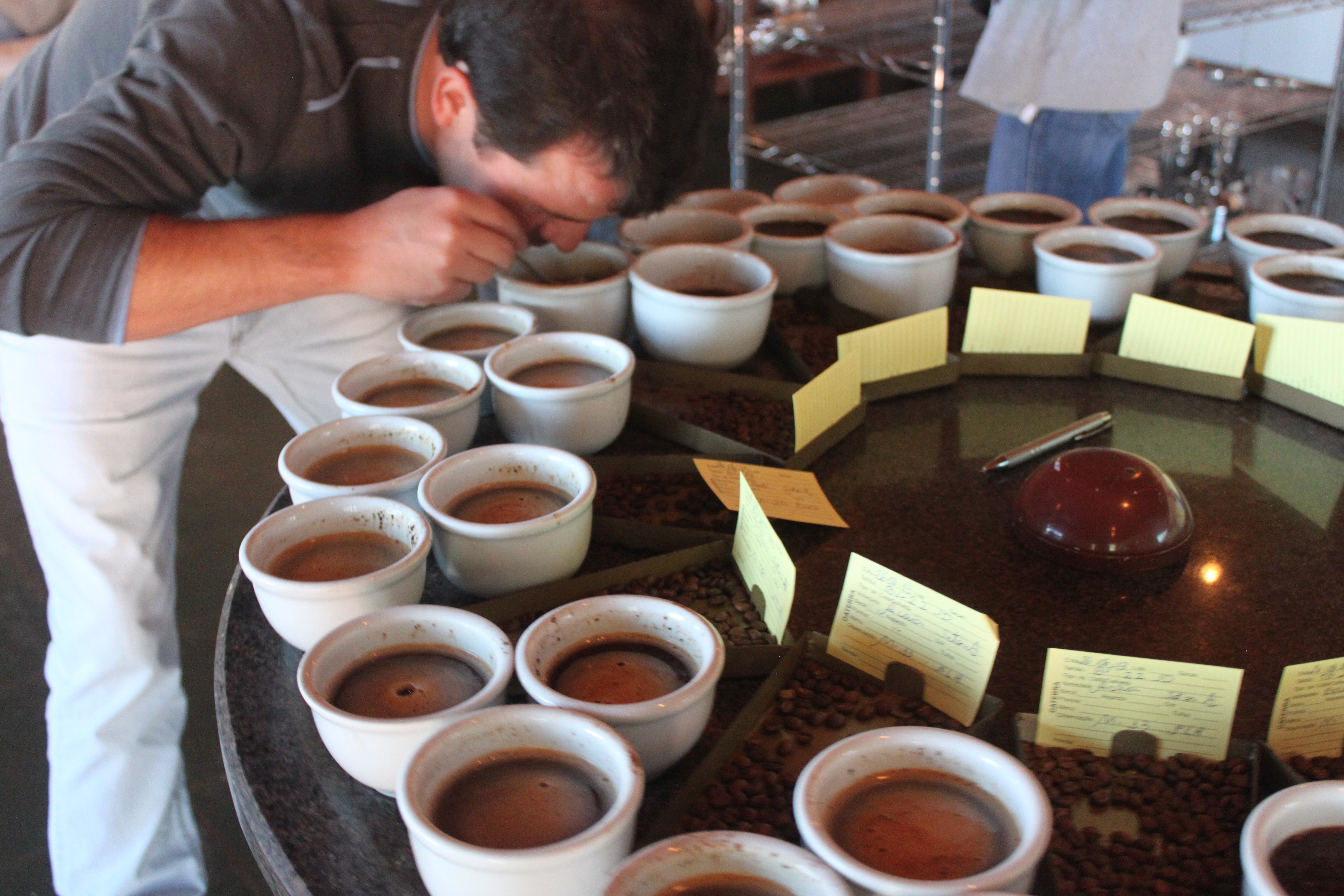 Carlinhos cupping preharvest samples