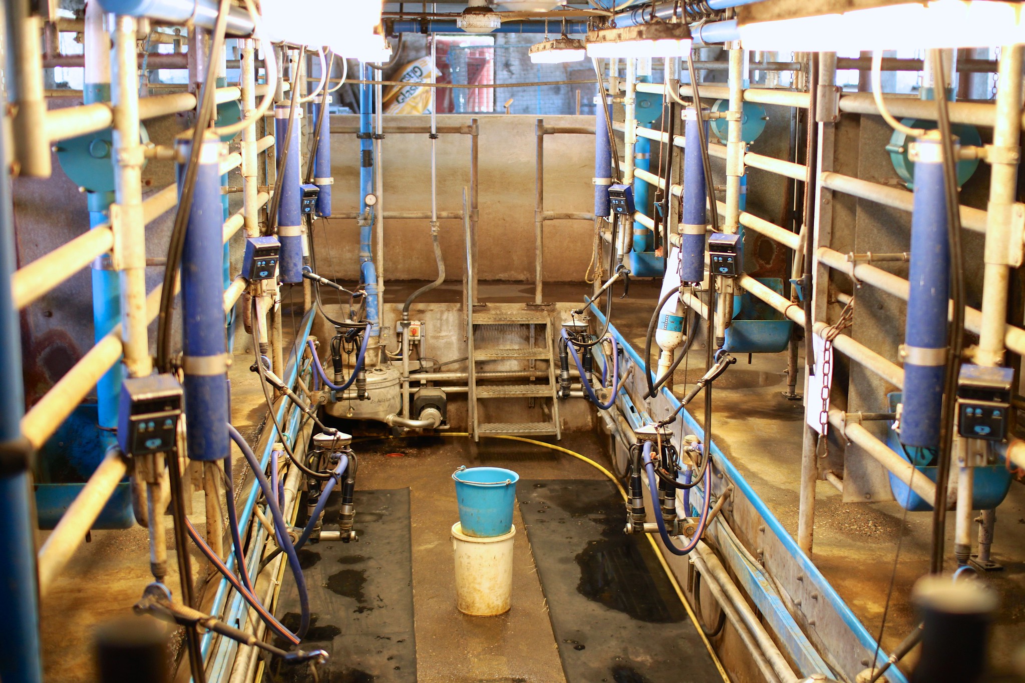 Milking Machine