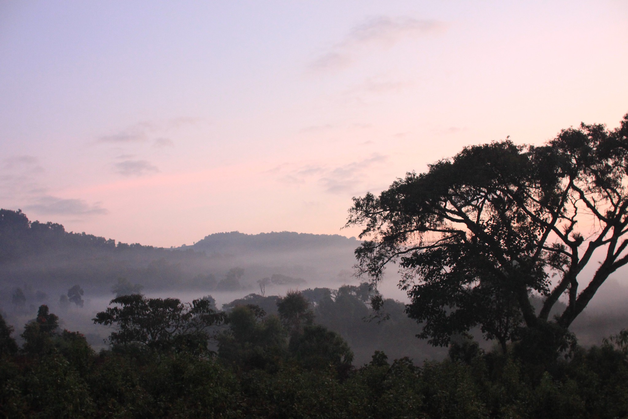 We got up early while it was dark and watched first the most stars we've seen in a long time and then the sun rise. Beautiful way to start a day.