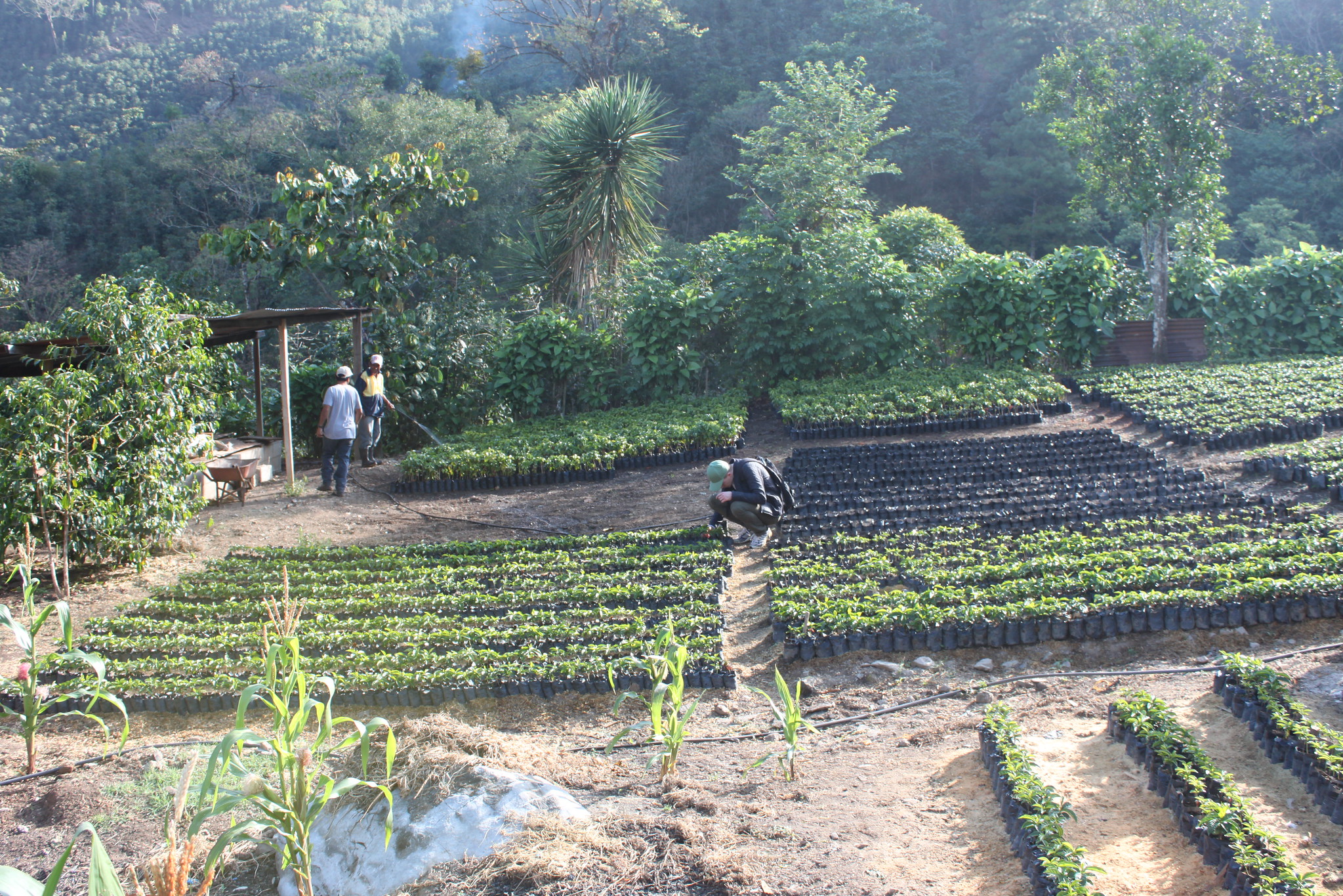 Nursery at FVH