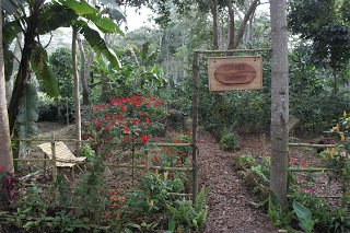 Coffee Garden