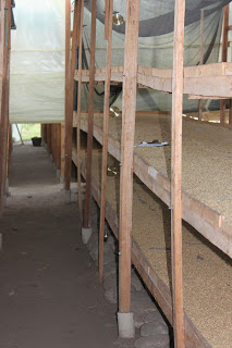 Shade drying – the round brass-things in each level are Thermometers.