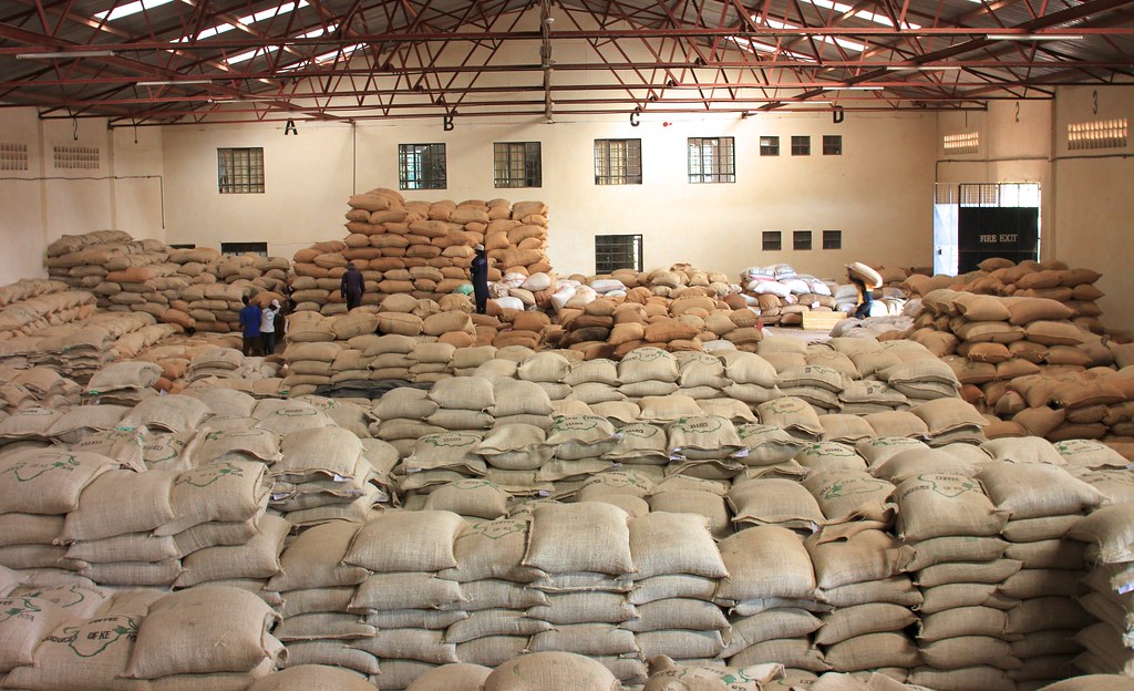 Dry Mill with lots of coffee. 