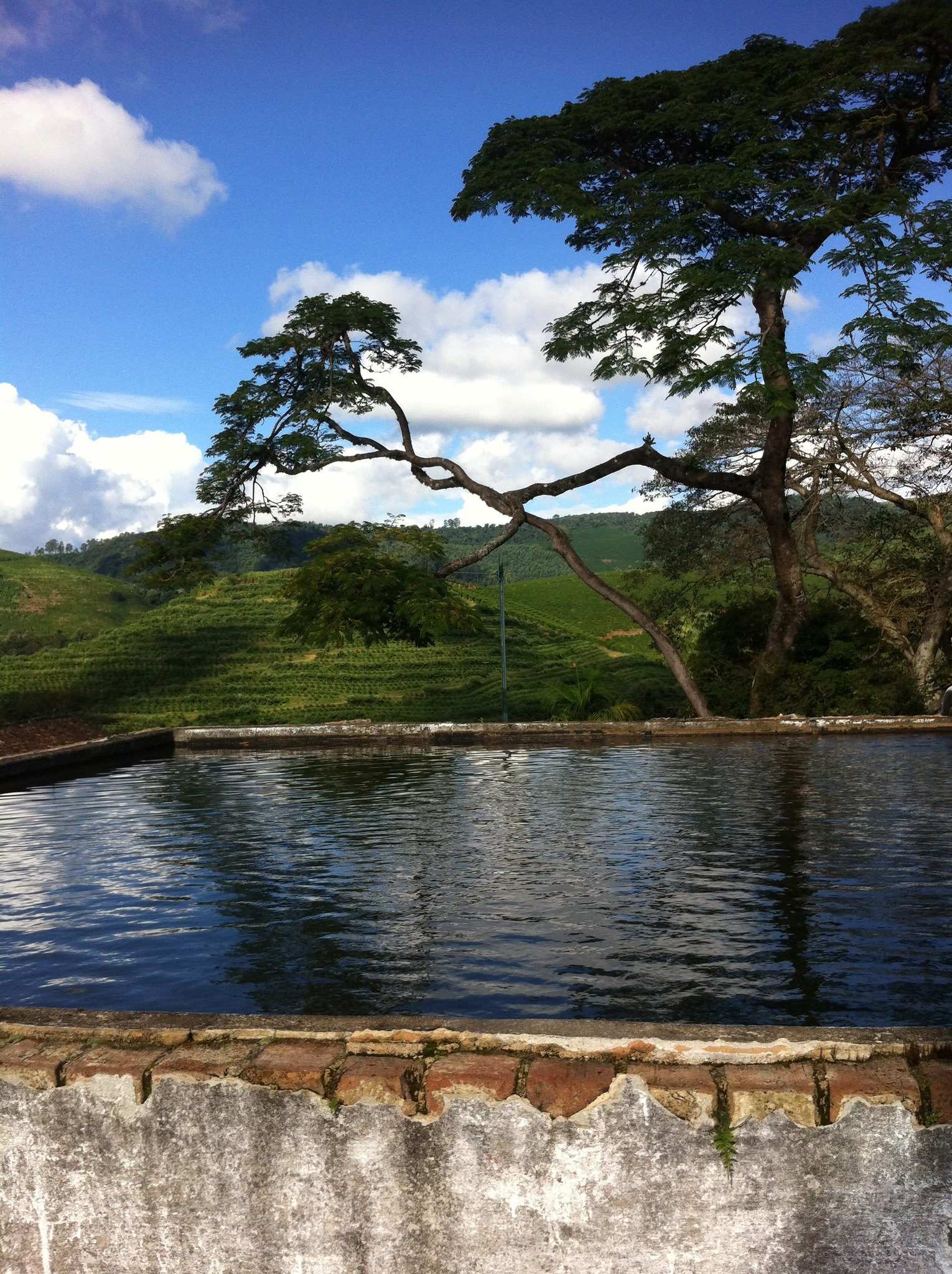 Santa Alina, Vale da Grama, Brazil