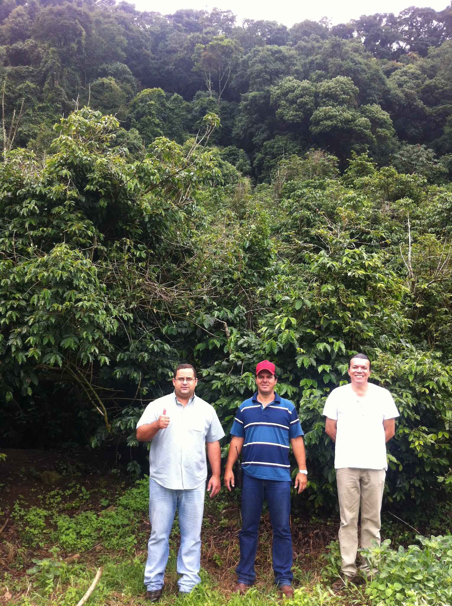 Rodrigo, Nilton, and Julio (left to right).