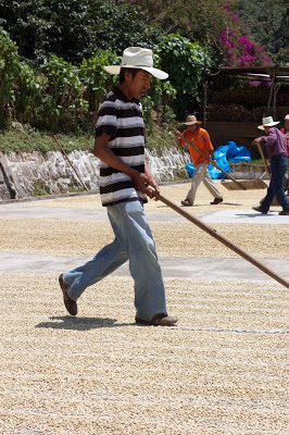 Finca Vista Hermosa, March 2010