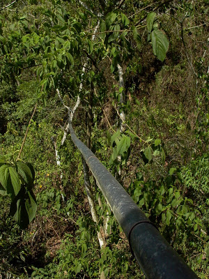 water from high elevation.