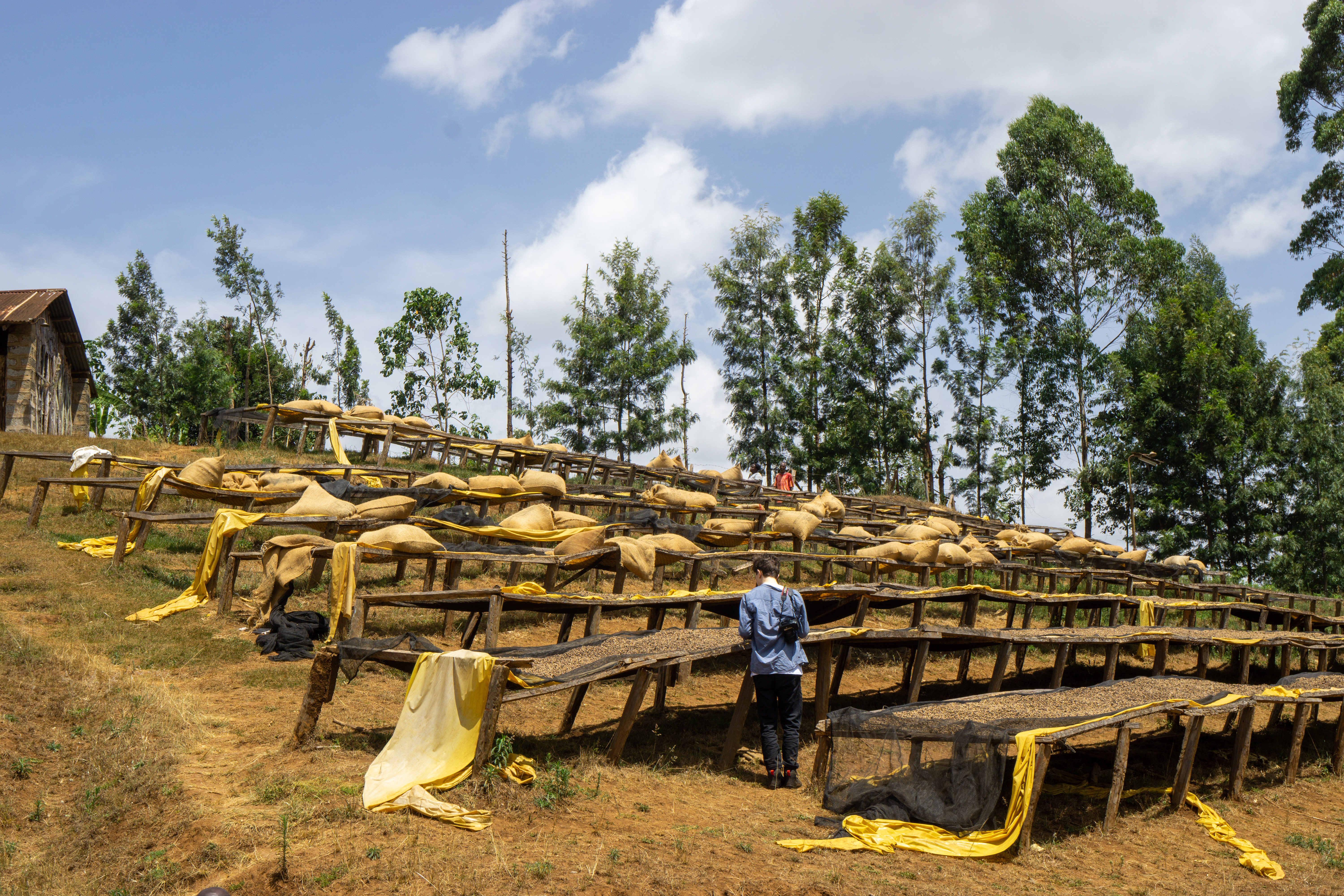 Drying tables