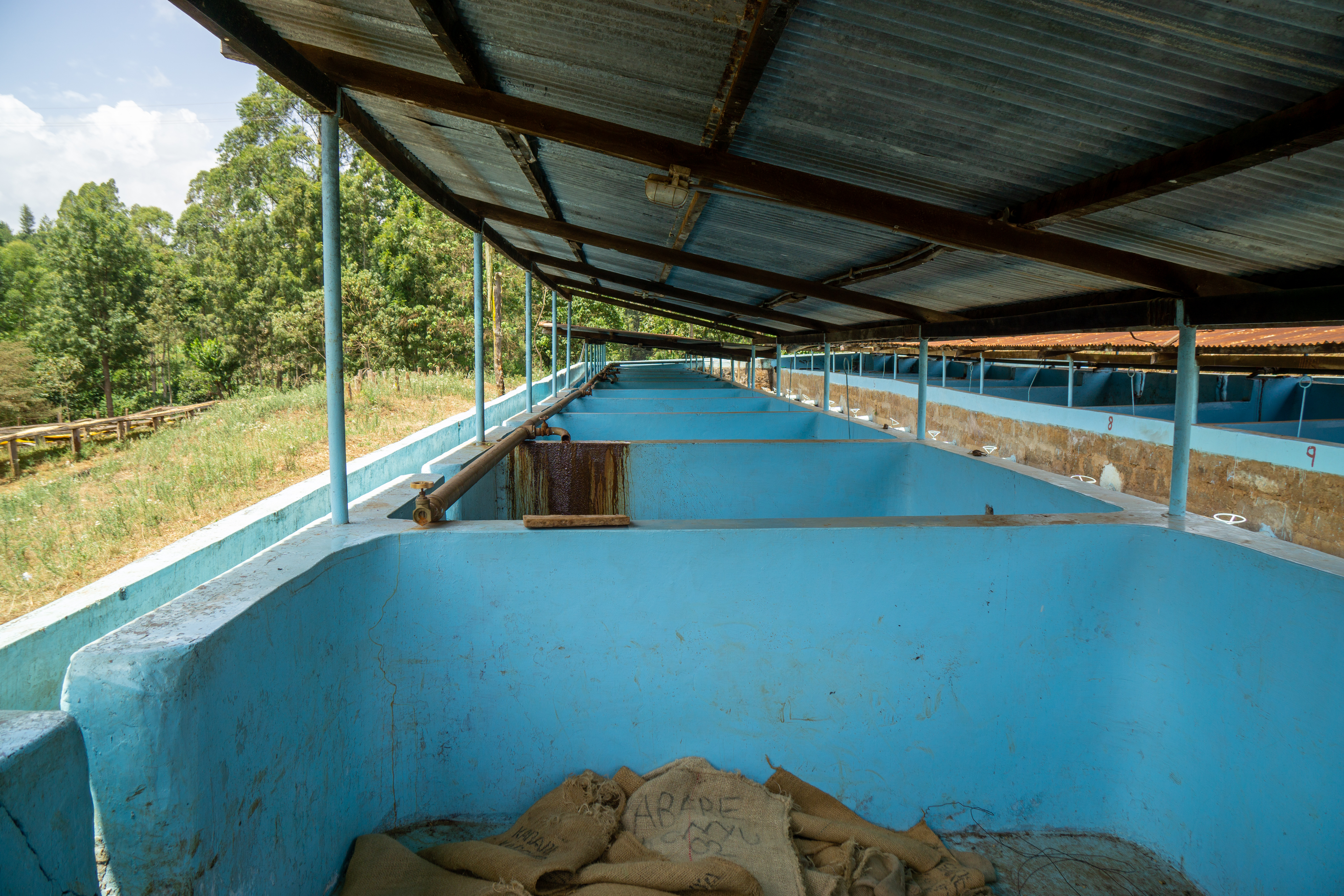 Fermentation tanks