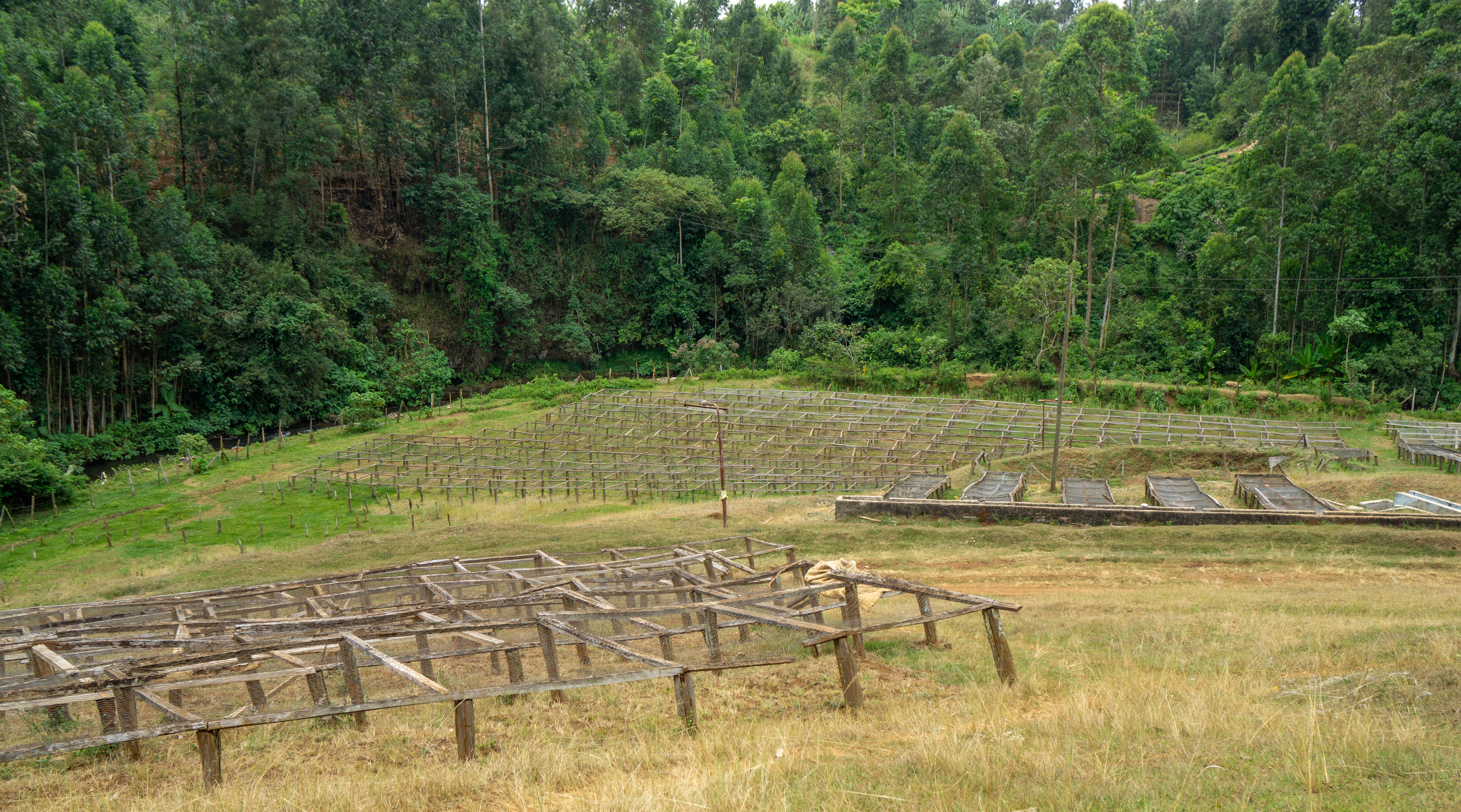 Drying tables