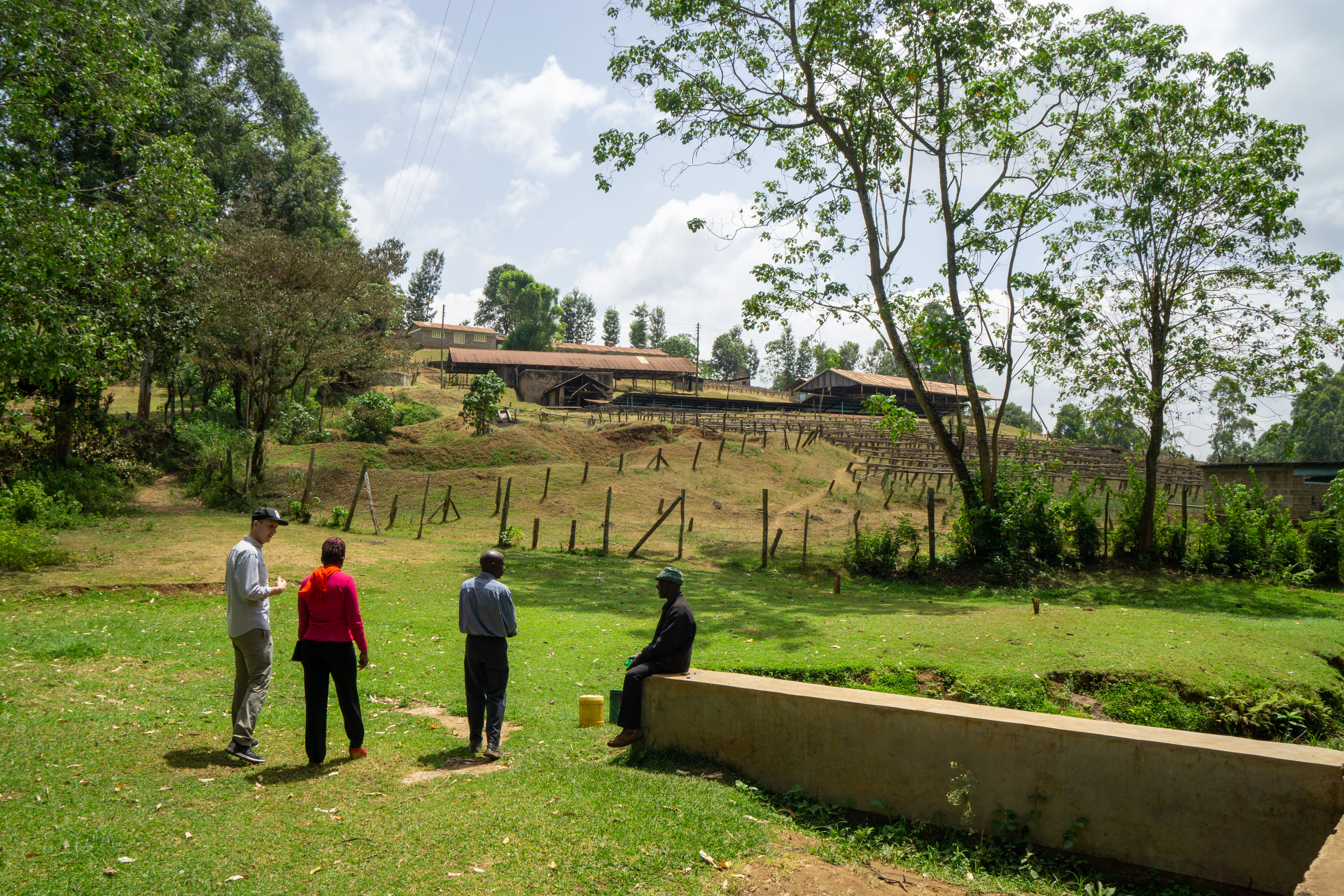 Mind blowing Kenyan coffee | Konyu