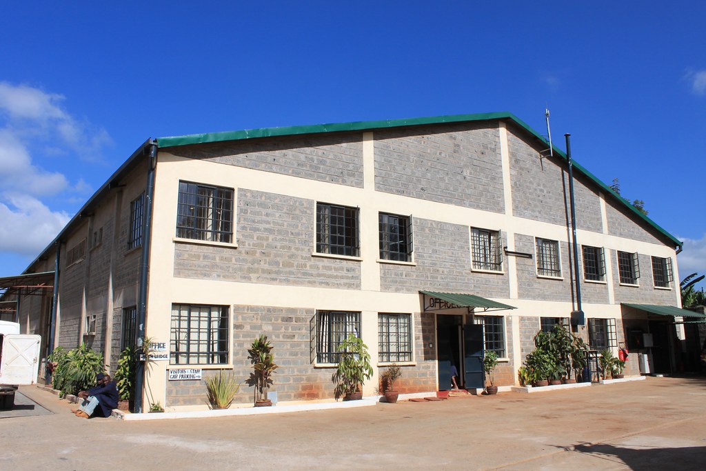 Central Kenya Coffee Mill. Nyeri, Kenya.