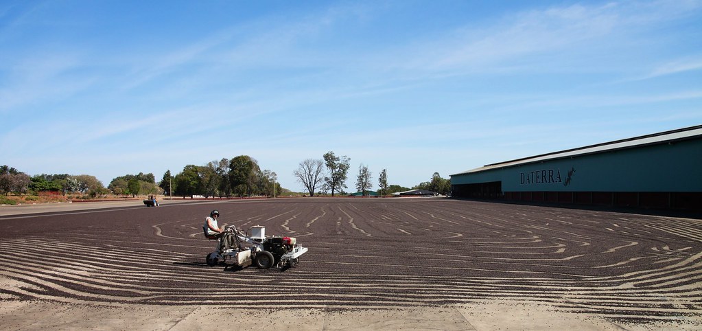 Daterra drying patio.