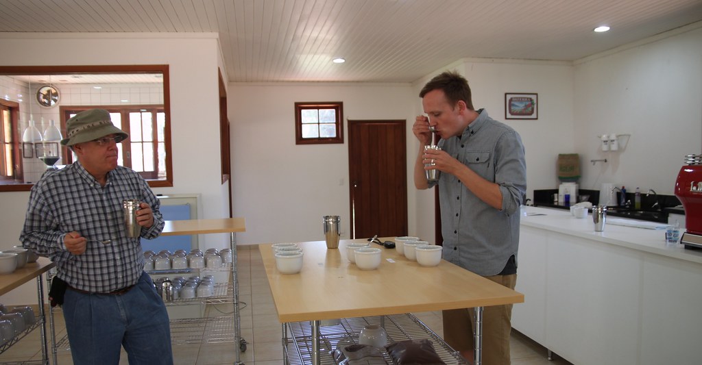 Cupping new crop coffees.