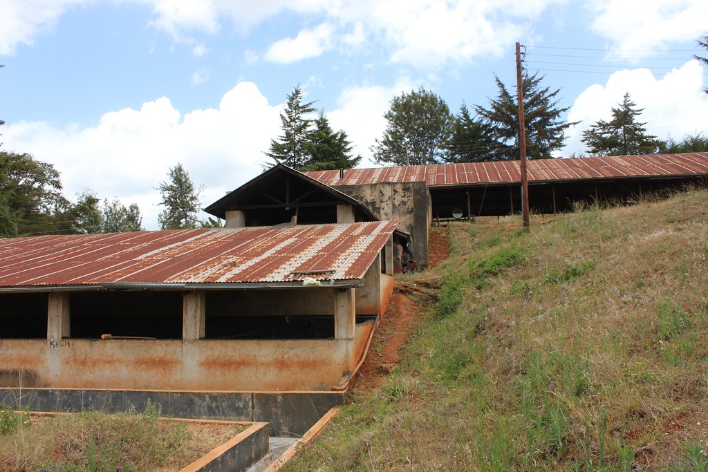 The Wet Mill: Recieving Station at the top, depulper in middle, the two rows of fermentation tanks under the bottom roof and finally the washing channels.