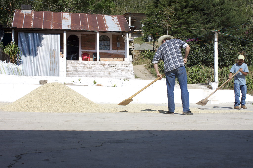 Casper trying to help out on his visit in 2010.