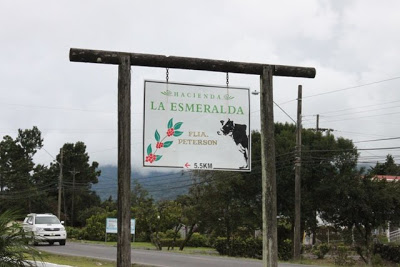 Hacienda La Esmeralda 2010