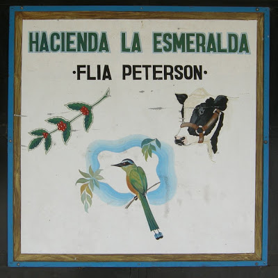 La Esmeralda 2009