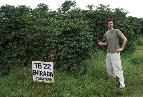 Peter at Lot 22 with Bourbon trees