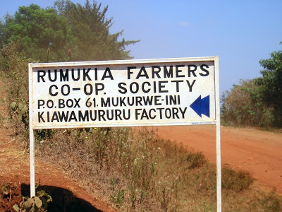 Foothills of Mt. Kenya.