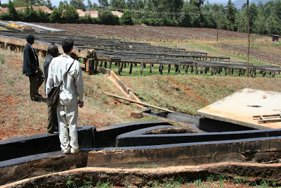 Drying tables.