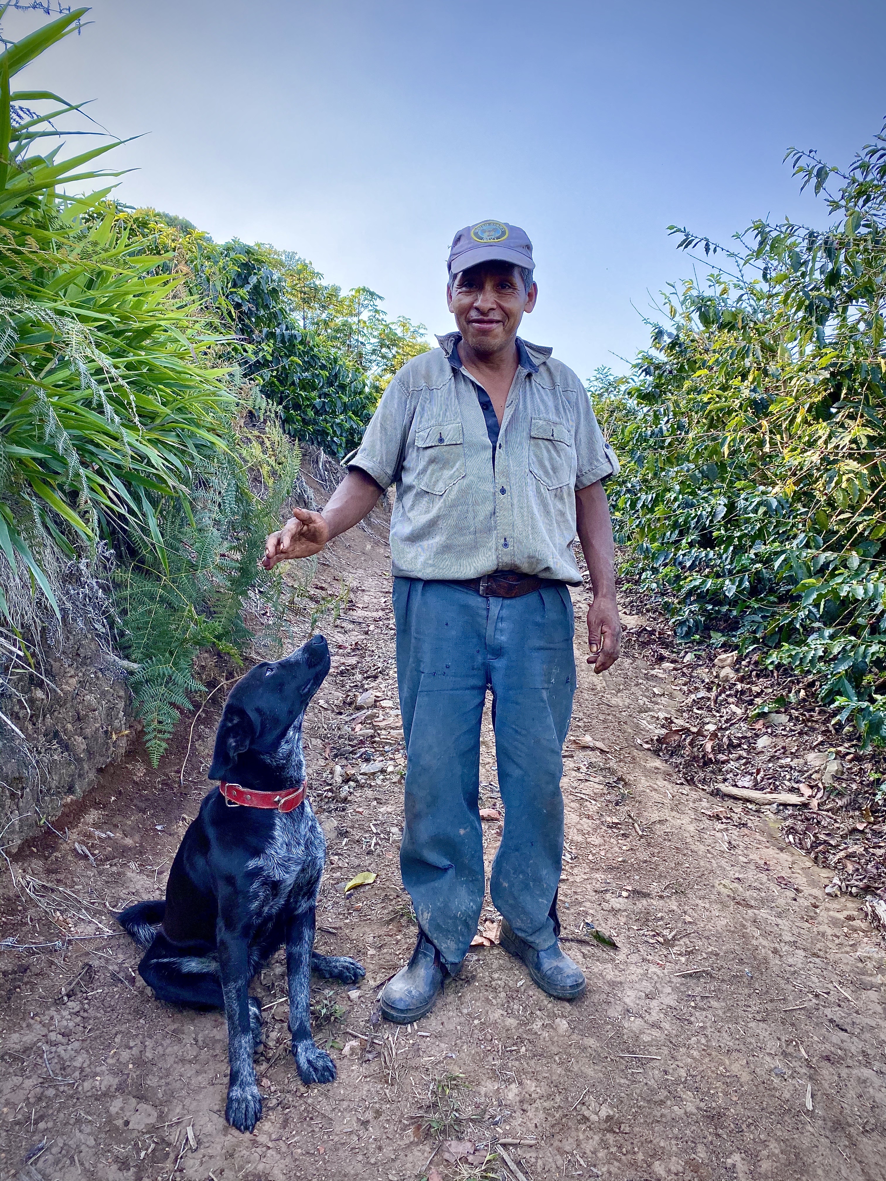 A Bolivian coffee mecca | Los Rodriguez & Buena Vista