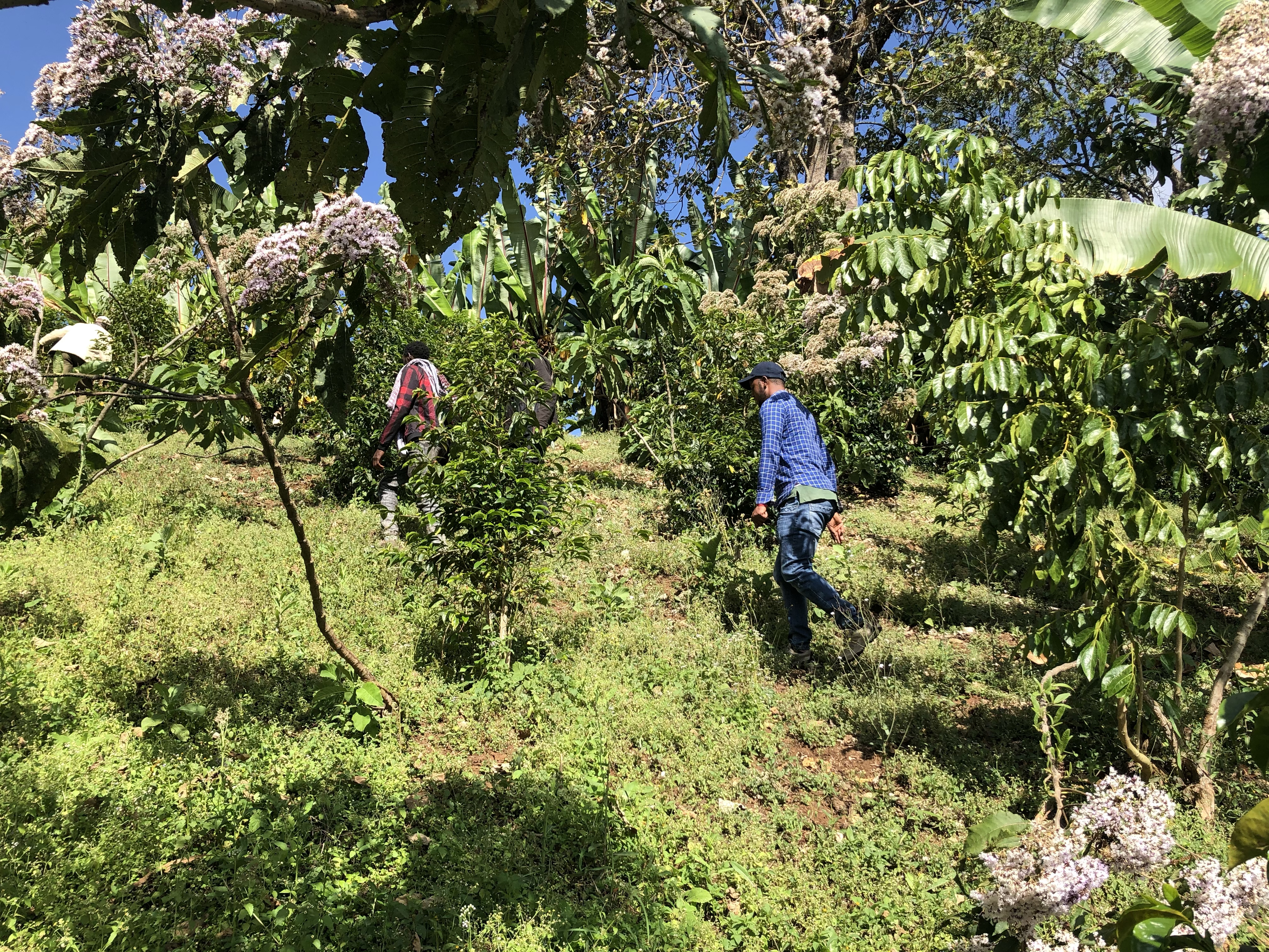 Hiking in the steep landscape