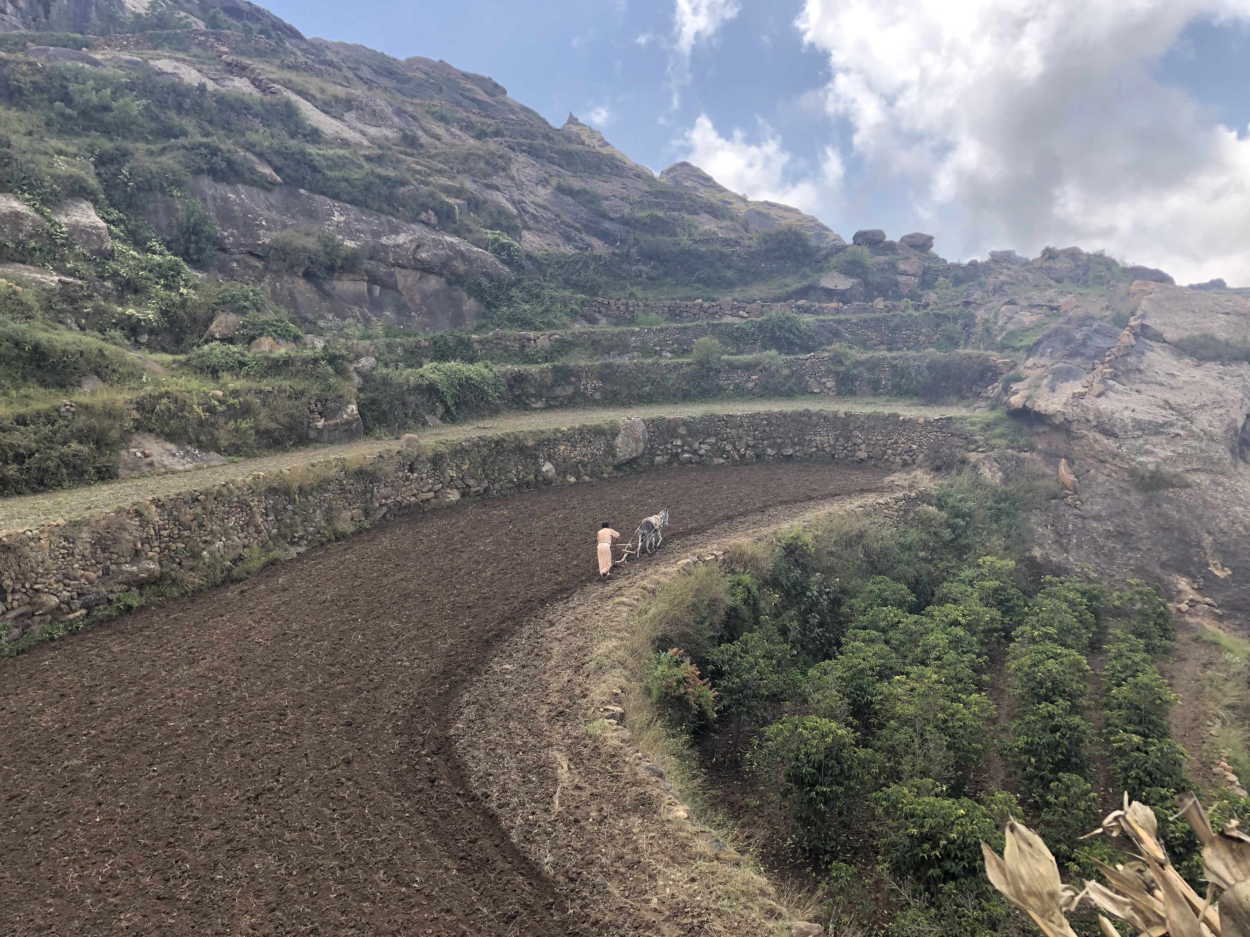 A terrace being prepared for agriculture